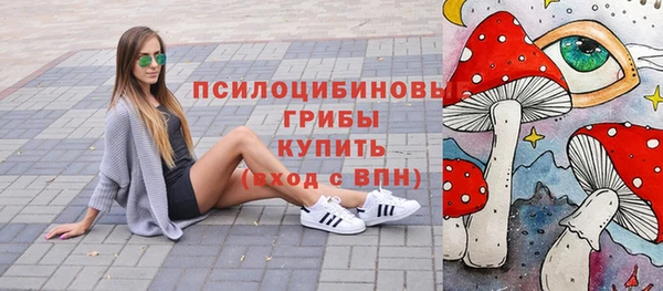 прущий лед Аркадак