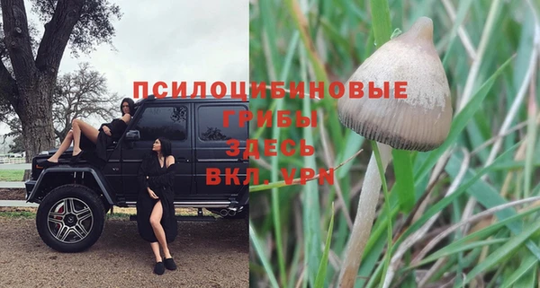 мет Армянск