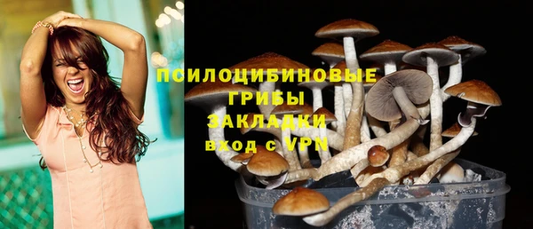 прущий лед Аркадак