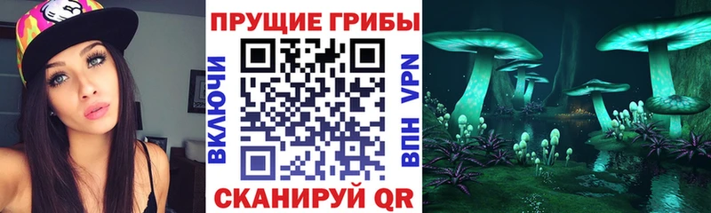 Купить закладки  Анадырь  Псилоцибиновые грибы мухоморы 